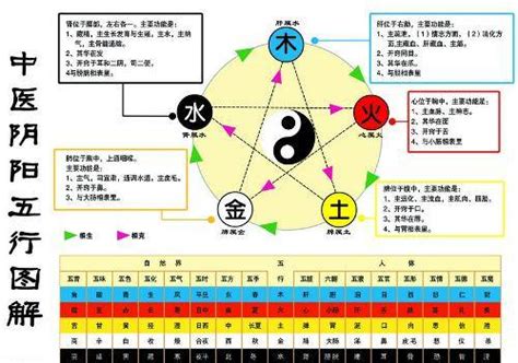 五行金和水